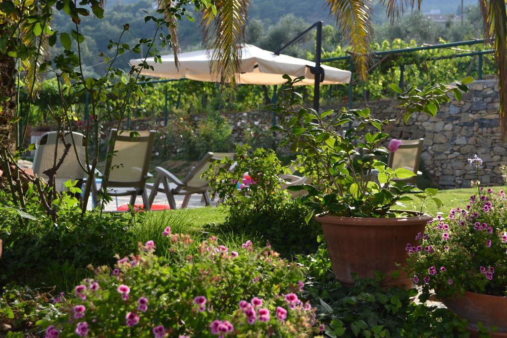 Agriturismo Ada Musso Ss Diano Borello Exterior photo